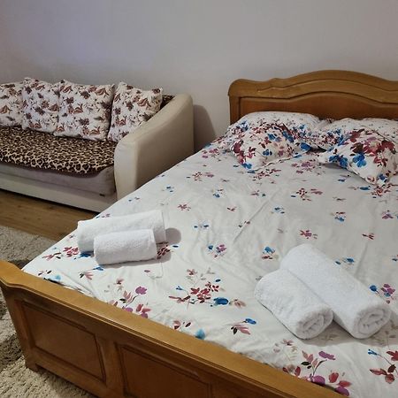 Ferienwohnung Garsoniera Emilia Câmpulung Moldovenesc Exterior foto