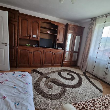 Ferienwohnung Garsoniera Emilia Câmpulung Moldovenesc Exterior foto