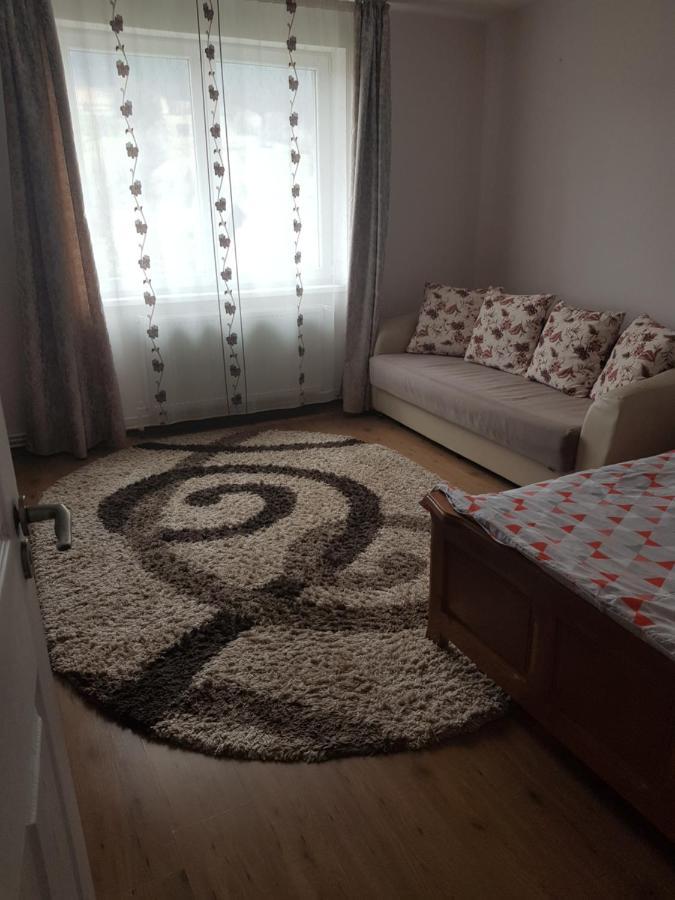 Ferienwohnung Garsoniera Emilia Câmpulung Moldovenesc Exterior foto