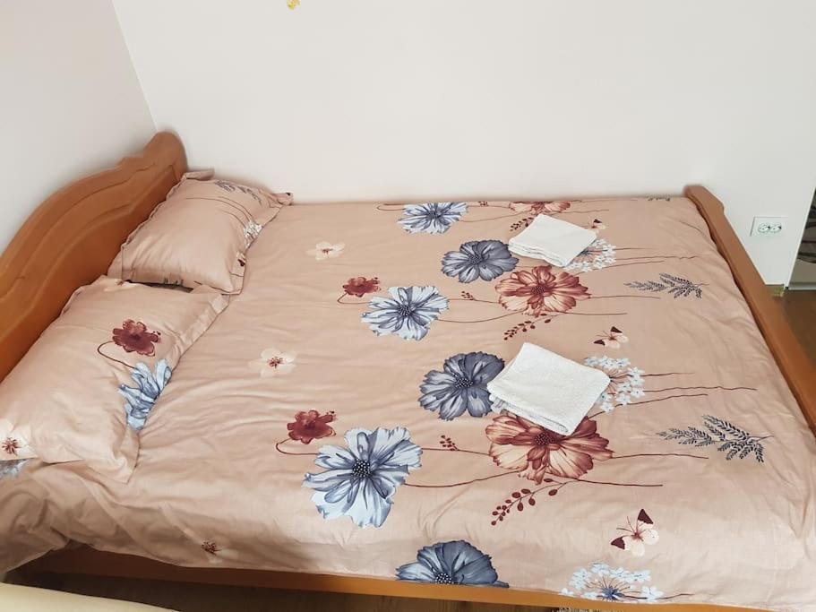 Ferienwohnung Garsoniera Emilia Câmpulung Moldovenesc Exterior foto